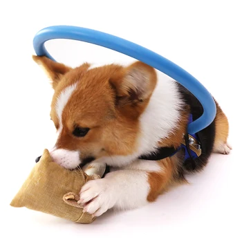 

Practical Blind Pet Anti-collision Ring Scorpion Cataract Animal Protection Circle Guide Dog Harness For Small Puppy Dog Yorkies