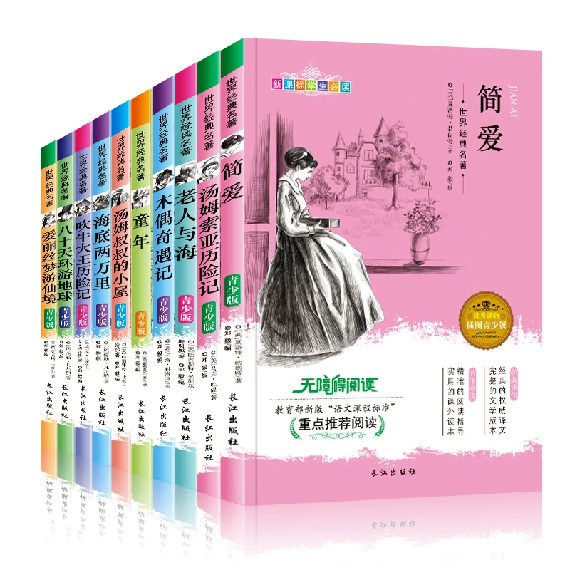 New 10 pcs World Classics Youth literary classics reading books in Chinese Pinocchio Jane Eyre the old man and sea | Канцтовары для