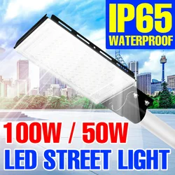 Applique murale LED à large faisceau, éclairage d'extérieur, idéal pour un jardin ou une rue, 50/220 W, 100 V 