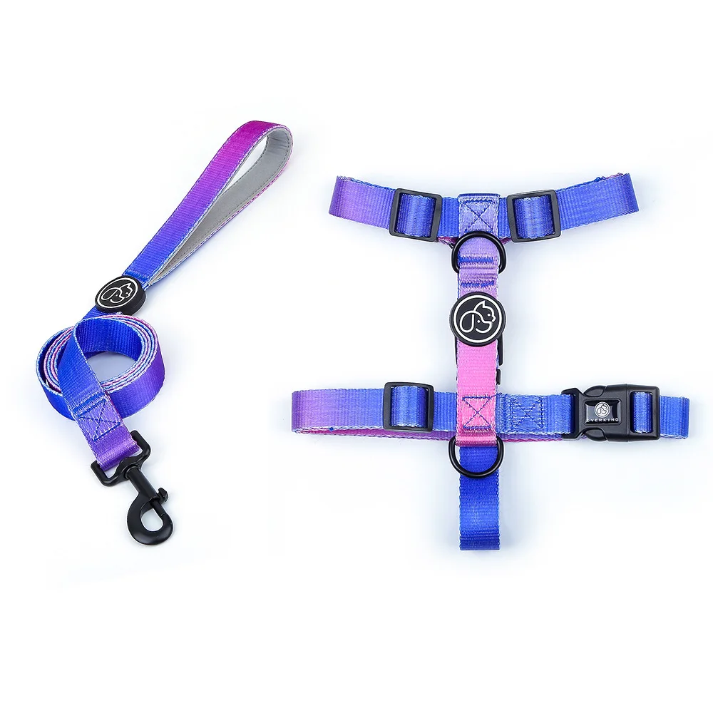 Gradient color Dog Collar and Leash Set dog luxury desgin harness for small medium and large dog harness and leash personalizedGradient color Dog Collar and Leash Set Adjustable dog vest harness no pull for small medium and large dog harness and leash dog chain collar Dog Collars