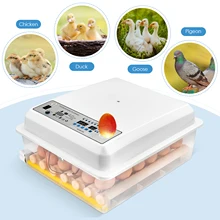 Incubadora de ovos do agregado familiar 36 ovos digital mini inteligente automatie incubadora para incubação pato ganso codorna ovos de galinha pombo