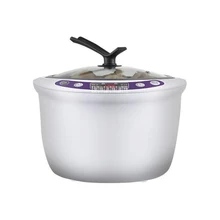 

JS08 Multifunctional Black Garlic Fermenter Zymolysis Pot Maker 3-Layer Smart Fermentation Machine Natto Yogurt Making Machine
