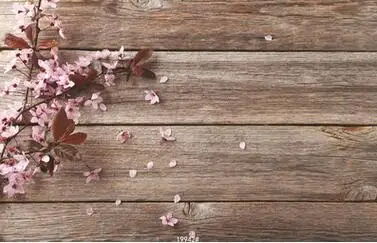 

SHUOZHIKE Vinyl Custom Photography Backdrops Prop Cherry blossoms and Board Theme Digital Photo Studio Background 19942