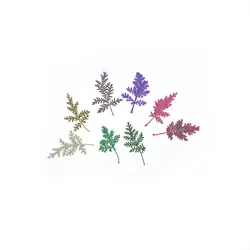 Цветок приглашение сухоцветы посылка _ образцов засушенный цветок сухие листья DIY закладки браслет ручной работы