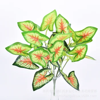 

Model Red Calla Lamination Handfeel 7 Fork Small Bundle of Alocasia Leaf Flower Taro Leaf Model Plant Wall with Wood
