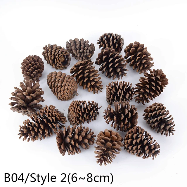 1-10pcs Natural Pine Nuts Fruit Dried Artificial Flower Pineapple Cones for Christmas DIY Garland Wreath Wedding Home Decoration B04-1pc