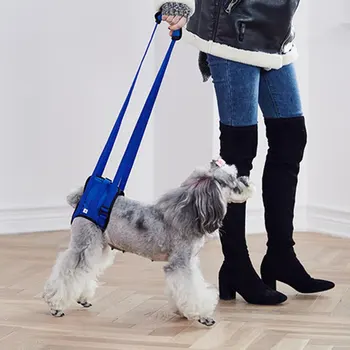 

Dog Lift Harness for Back Legs Adjustable Pet Support Sling Help Weak Legs Stand Up Pet Dogs Leash Aid Assist Tool