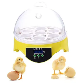 

7 Eggs Incubator Semi-automatic Digital Temperature Control Home Mini Egg Incubator Hatching Pigeon Chicken Duck Egg Hatcher