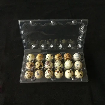 

50 Pcs 19.8x10.2x3.9cm 18 Grids Quail Egg Storage Box Plastic Transparent Egg Dispenser Holder Case Refrigerator Egg Protection