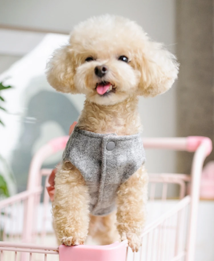 O1CN01WtJdrA1M4zv5cDACc_!!377901382