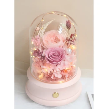 

WSFS Hot Creative Bluetooth Music Box Audio with Lamp Display Glass Cover DIY Crafts Home Bedroom Decoration Birthday Valentine'