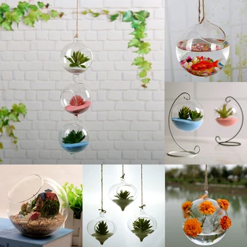 

5 Styles Creative Hanging Ball Glass Flower Planter Vase Terrarium Container Landscape Bottle Home Garden Wall Vase Decoration