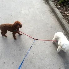 Прогулочная переноска для щенка, прочный поводок для путешествий, маленький поводок для собак, предохранительный ремень безопасности для домашних животных, автомобильный двусторонний поводок