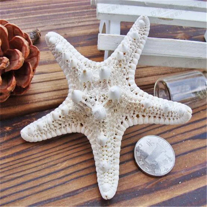 Get 10 Stuks Partij 4 7 Cm Natuurlijke Lucht Gedroogd Zeester Sea Star HD Wallpaper 10 Stuks Partij 4 7 Cm Natuurlijke Lucht Gedroogd Zeester Sea Star Desktop Wallpaper