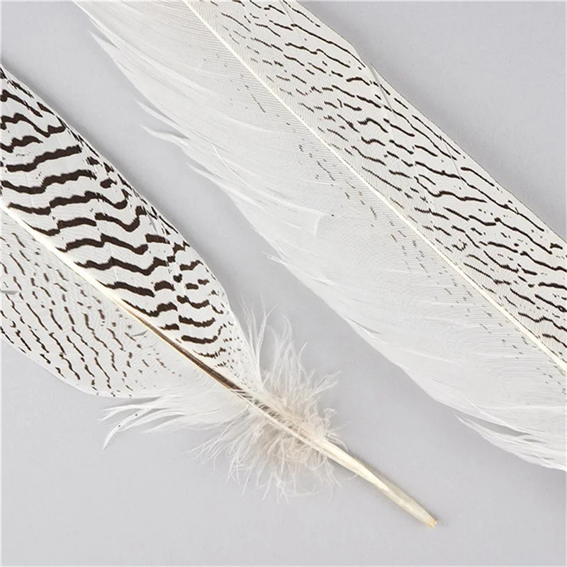 Pheasant Tail Feathers for Crafts Natural Silver Pheasant Feather Carnaval Wedding Feathers needlework accessories Decoration