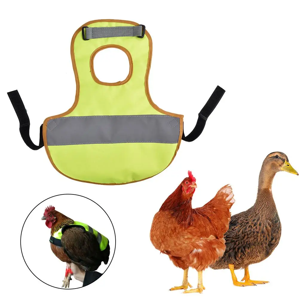 Adjustable Chicken Vest font b Pet b font Reflective Vest Chicken Clothes Poultry Hen Saddle Apron