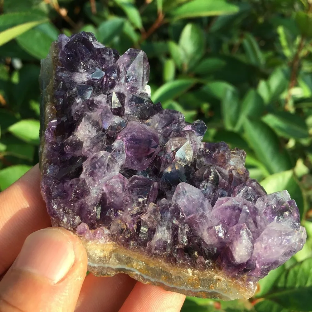 QQ图片20190909183708