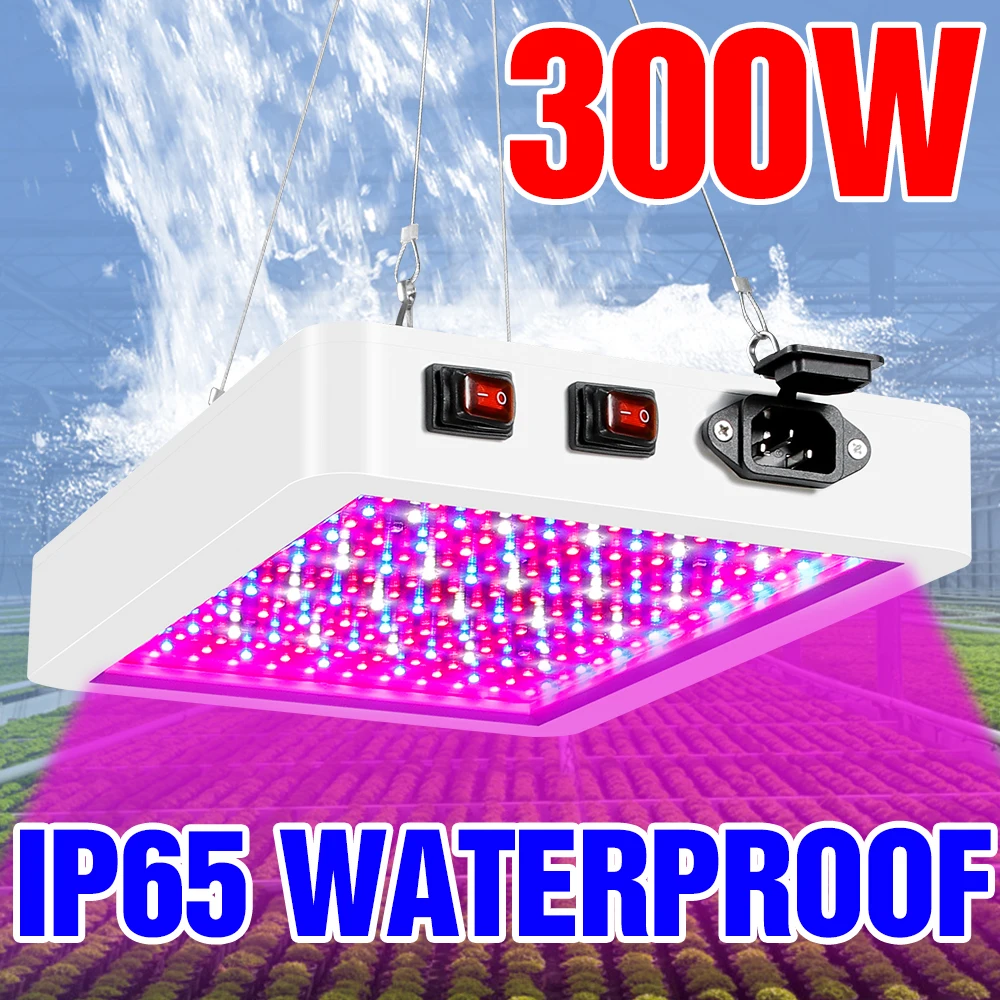 

LED Plant Grow Light 1000W 2000W 4000W Full Spectrum Phyto Lamp LED Seedling Fito Lights 220V Vegetables Flower Seed Growth Tent