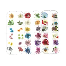 1 коробка натуральные высушенные цветы ромашки гортензии сухие растения для эпоксидной смолы кулон из смолы ожерелье Изготовление ювелирных изделий ремесло DIY аксессуары