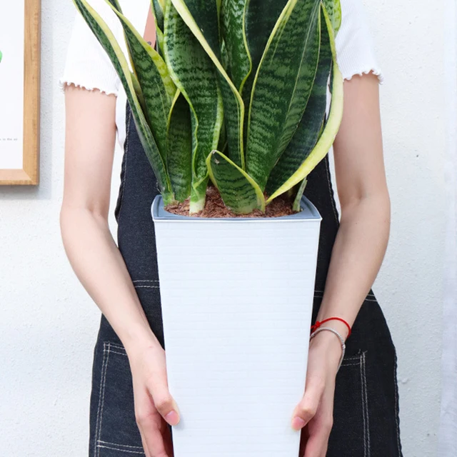 Cserepes Növények Iroda Virág Edény Csúcskategóriás Tégla Mintázat Utánozás Fém Műanyag Négyzet És Magas Típusú Maceterók - Image 6