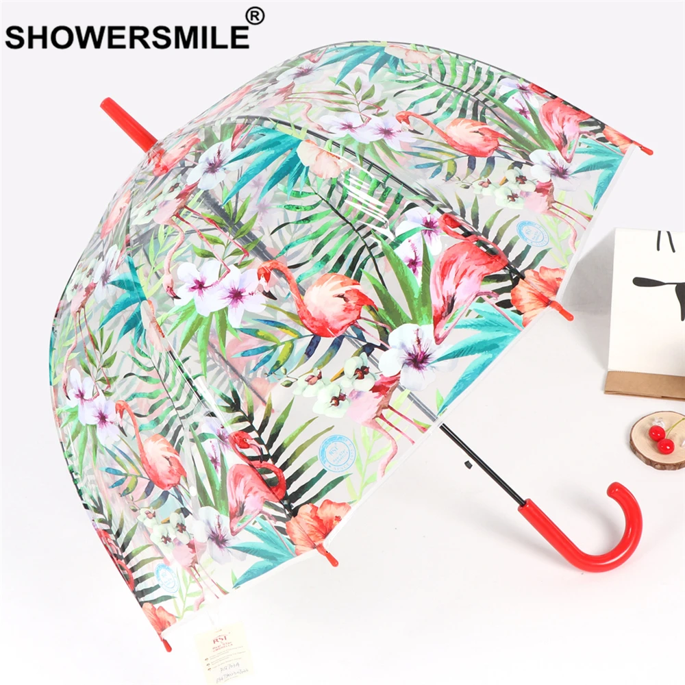 Прозрачный дождевой Зонт SHOWERSMILE женский зеленый прозрачный зонт с принтом