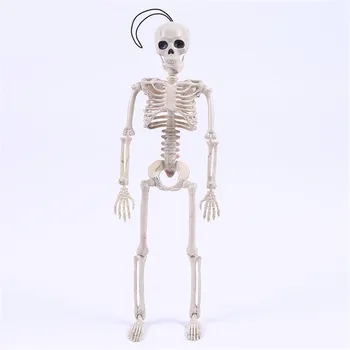 

40CM Flexible Human Anatomical Anatomy bone Skeleton Model Medical Wholesale Medical Learn Aid Anatomy art sketch Halloween