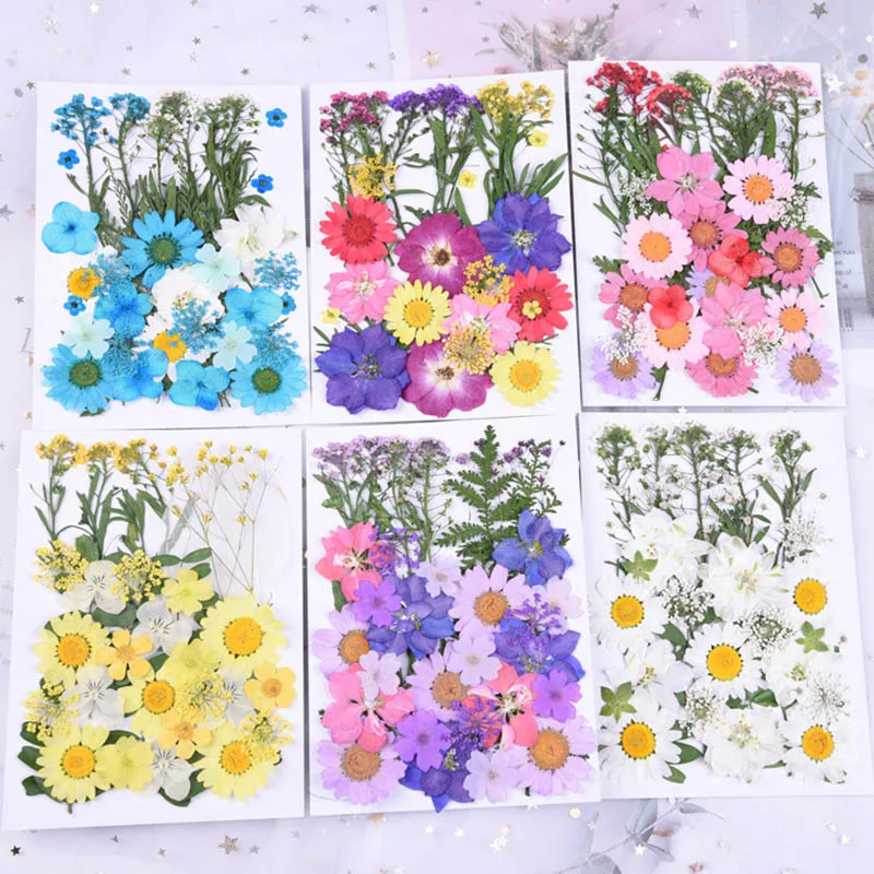 

Pressed Flowers DIY Preserved Flower Epoxy phone shell dry flower material Embossed face petal makeup small Dried Flowers