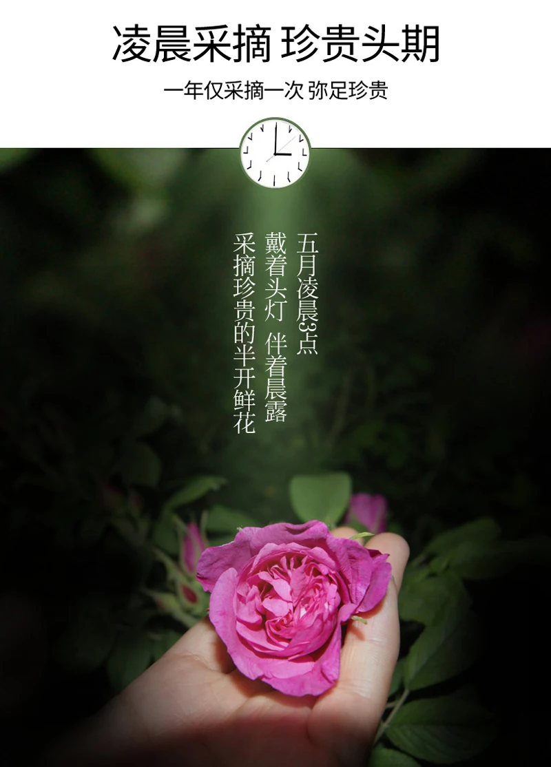 20g Flower Tea Dry Rose Bud Flower Tea Pingyin Rose Double Red Rose Corolla Tea Flower Tea