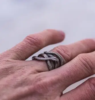 

Exaggerated Vintage Silver Snake Ring for Men Cool Fashion Punk Male Finger Ring 17mm to 21mm Man Animal Charm Ring