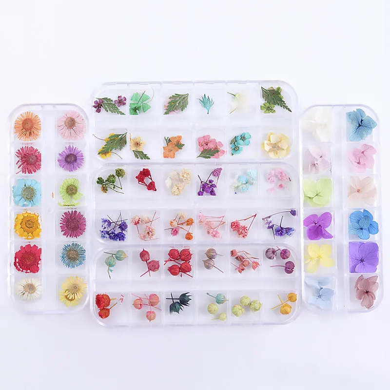 

12styles/Box Real Pressed Flower Leaves Crystal Epoxy Filler Dried Daisy Flower Resin Art DIY Jewelry Making Nail Stickers Decor