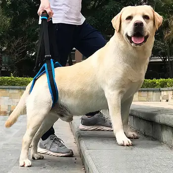

2019 New Adjustable Dog Lift Harness for Back Legs Pet Support Sling Help Weak Legs Stand Up Pet Dogs Aid Assist Tool