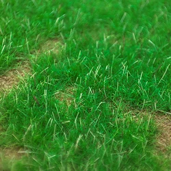 Premium 3mm Blended Season Static Grass - Perfect for Model Railway and Miniature Landscapes (Summer Grass)