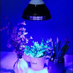 E26/E27 Spectrum Plant Grow Light PAR38LED Bulb 18W 54W Effective Red Blue Light Grow Tent Lights Lamp Greenhouse Phytolamp D30
