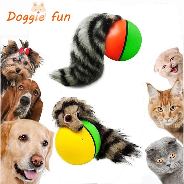 Pet Ball Toy Dog Weasel Motorized Funny Rolling Ball Cat Chasing Jump Toys  for Pets Kids Chaser Jumping Moving Toy Drop Shipping - AliExpress