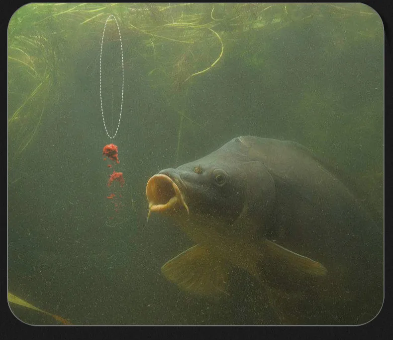 Linha de pesca de nylon para pesca,