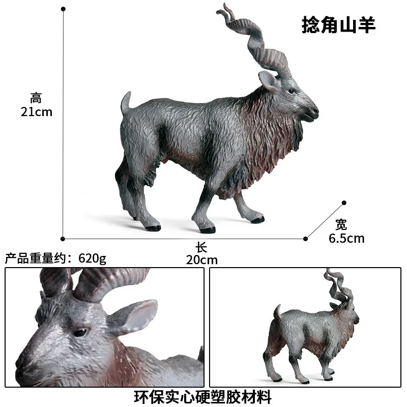 12278179052_1464955482