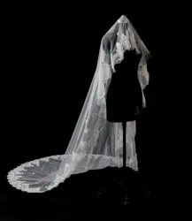 Luxury 3 Meters Full Edge with appliques  Long Wedding Veil with Comb White Ivory Bridal Veil 2020 Accessories in Stock