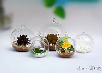 

12pcs 6/8cm Clear Round Hanging Glass Vase Bottle Terrarium Glass Containers Teraryum Garden Home Weeding Party Decor