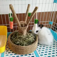 Pequeno animal atividade coelho brinquedo, divertido árvore cenoura boredom quebra roedores dutch