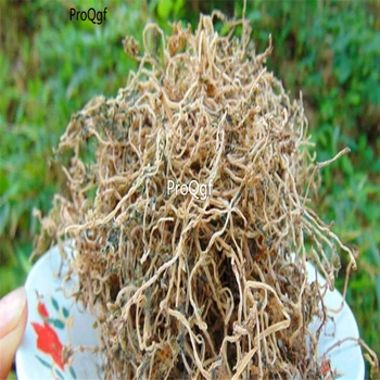 

Ngryise 250Gram A Set Sedum sarmentosum