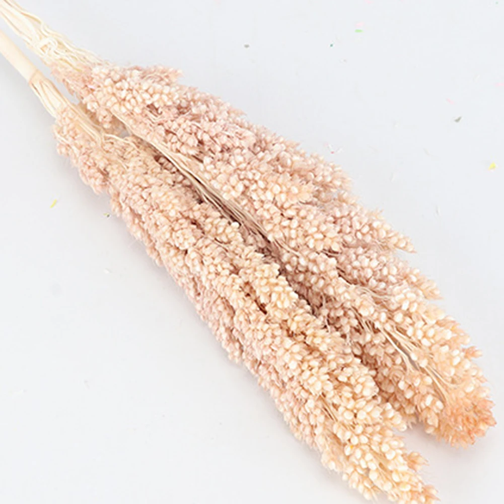 2 шт. Натуральные сушеные цветы пучок сохраненные пшеничные уши цветок DIY цветок Свадебный Цветочный для домашней фотографии украшение рабочего стола