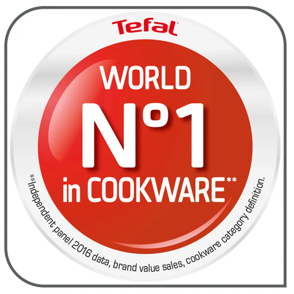 Набор посуды Tefal Duetto, нержавеющая сталь, кастрюля 24 см, ковш 16 см, крышка A705A375