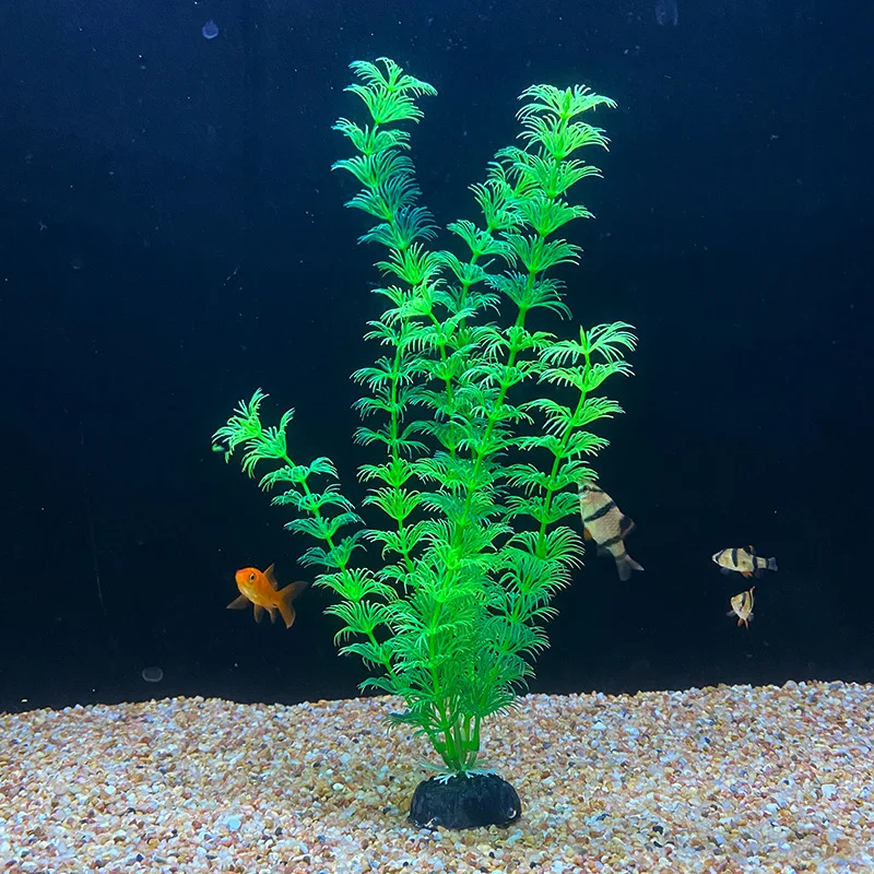 Hf4a6184e01464c90bf9eee7effc33d00L.jpg?width=800&height=800&hash=1600