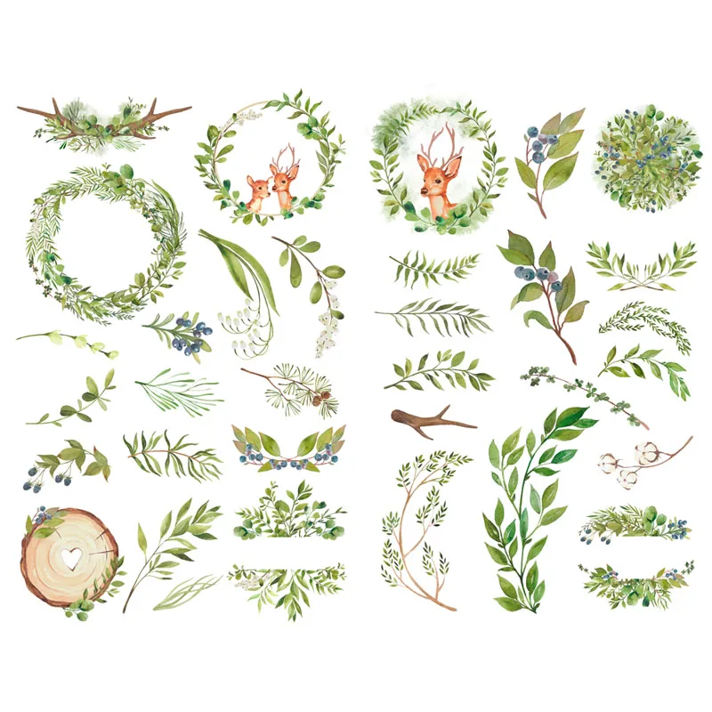 Autocollants de plantes cactus vertes succulentes