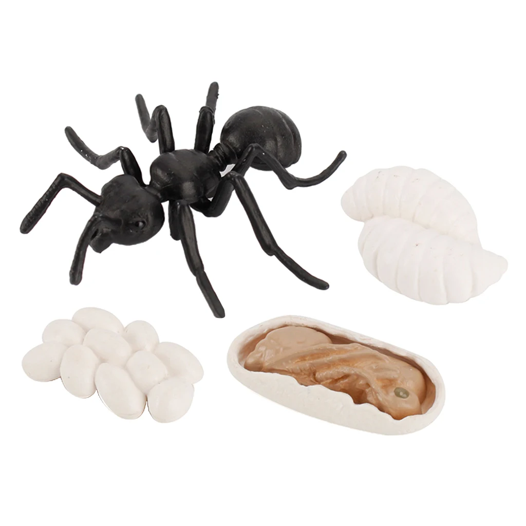 Early Kids Toddlers Simulation Animals Growth Cycle Toy Pretend Play Animal Growth Cycle Teaching Aids Early Educational Toy