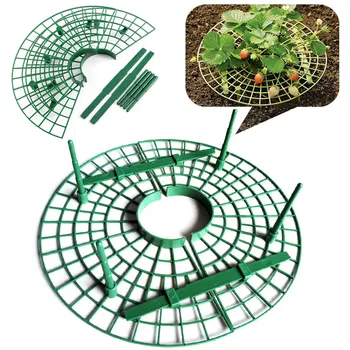 

Strawberry Growing Plastic Vegetables Strawberry Planting Strawberry Supports Outdoor Garden Home Yard Ornament