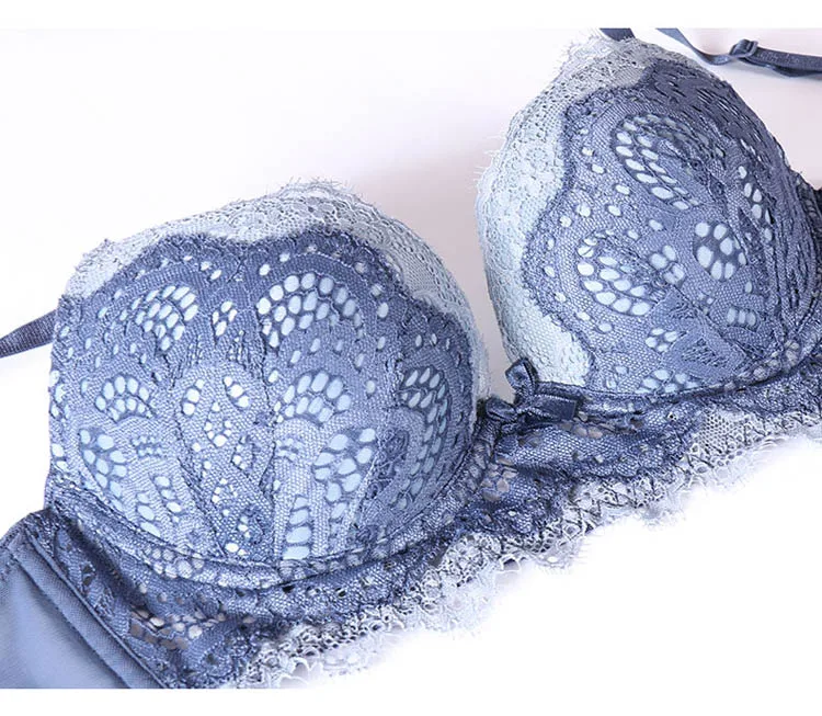 CINOON New Lace Lingerie Women Sexy Bra Set Push up Bras Underwear Set 34 Cup Lingerie Set  Embroidery Flowers Bras and Panties Set (29)