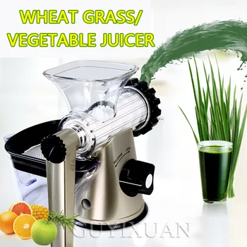 

Household juicer milkshake vegetables Ginger juice Wheat grass celery juice juicer fruit pomegranate apple juicer