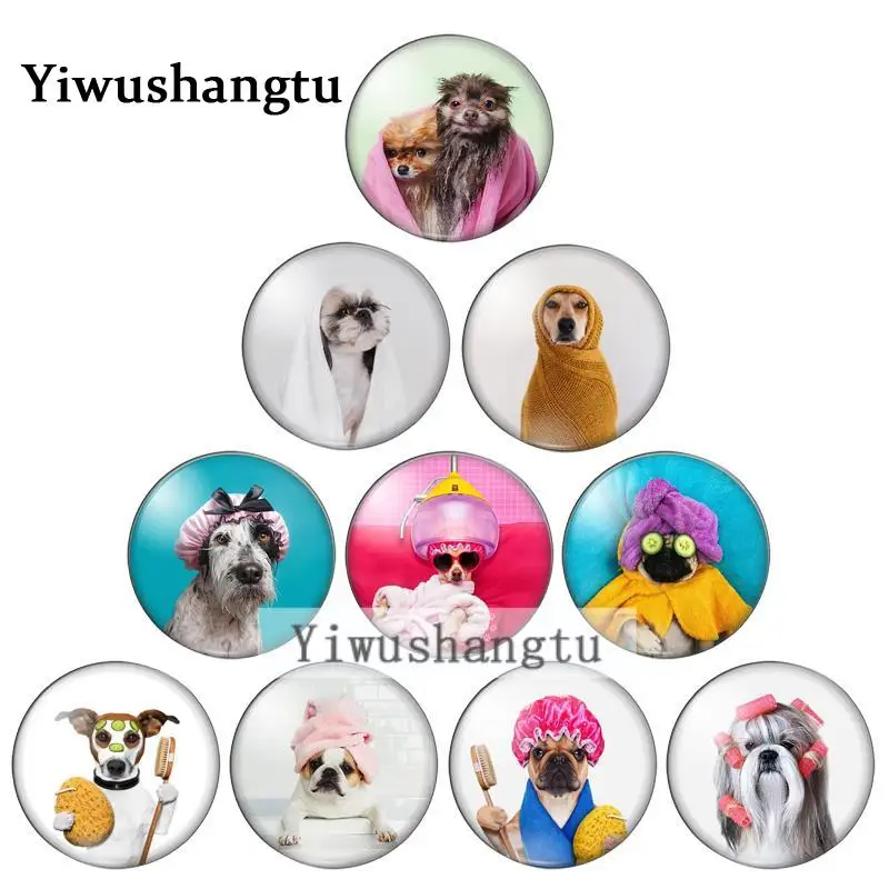 

Mix cute wash bath dogs pet 12mm/20mm/25mm/30mm Round photo glass cabochon demo flat back Making findings