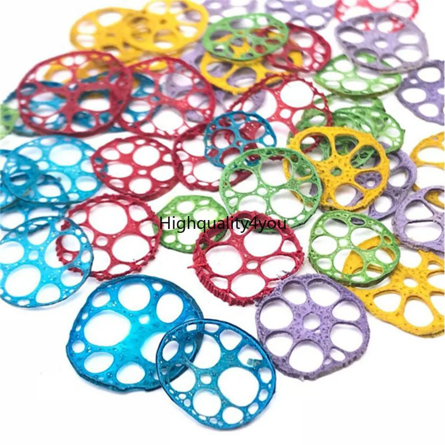

30pcs Dried Lotus Root Slices Plant Herbarium For Exopy Resin Jewelry Phone Case Photo Frame Bookmark Postcard Making Accessory